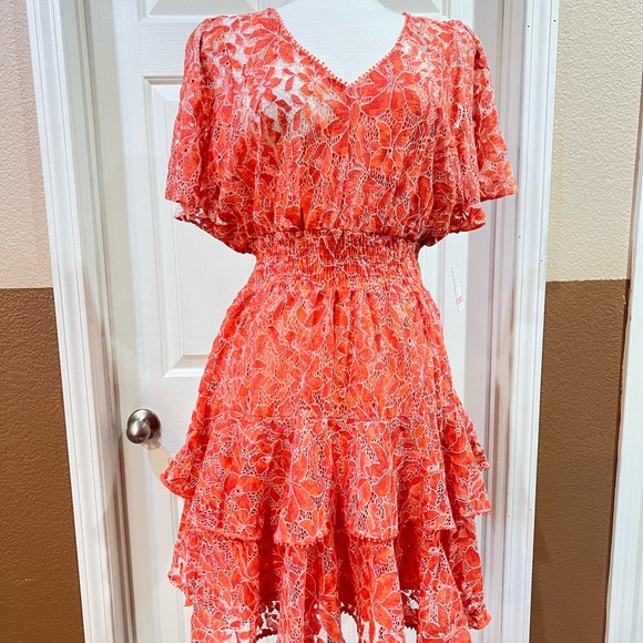 Taylor V Neck Ruffle Dress - Picture 2 of 7